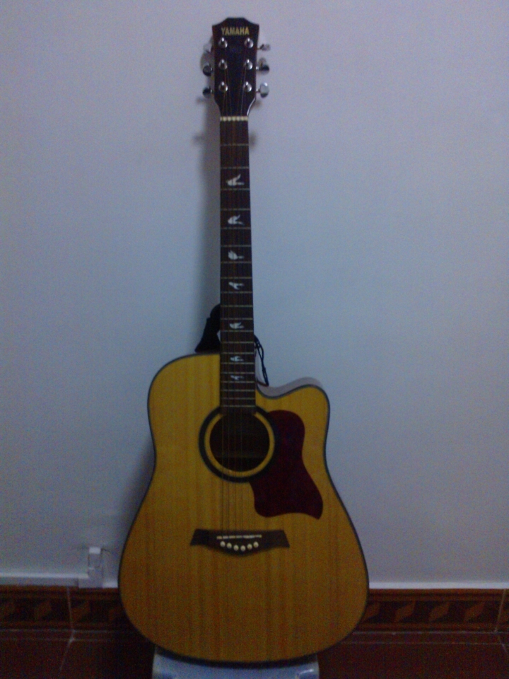 guitar